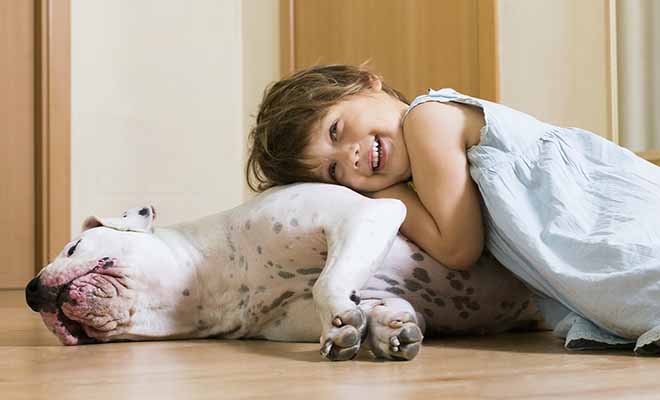 interaction enfant chien