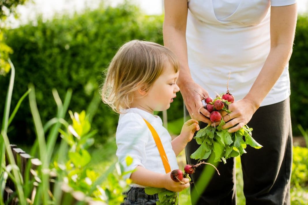 Comment jardiner avec ses enfants